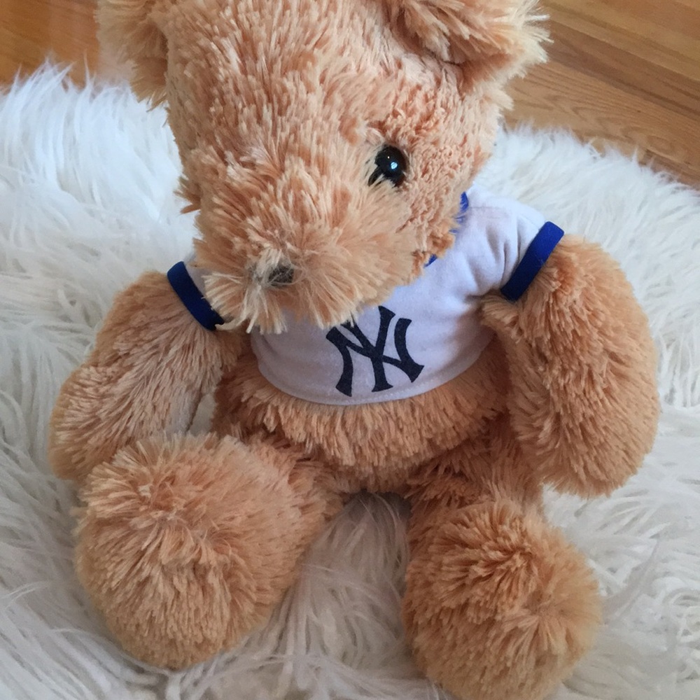 Teddy bear